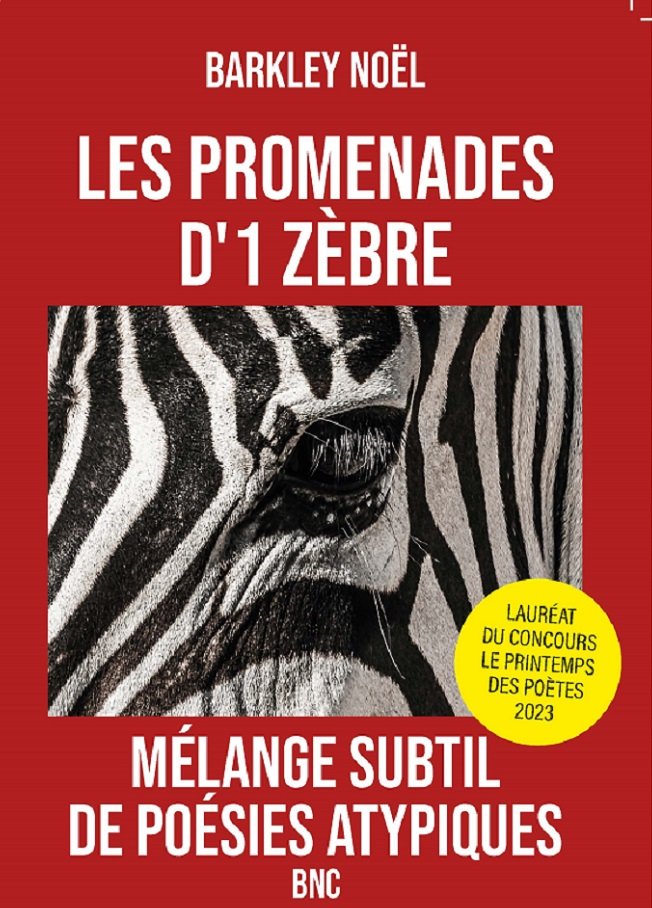 BNC avec squelette en salon