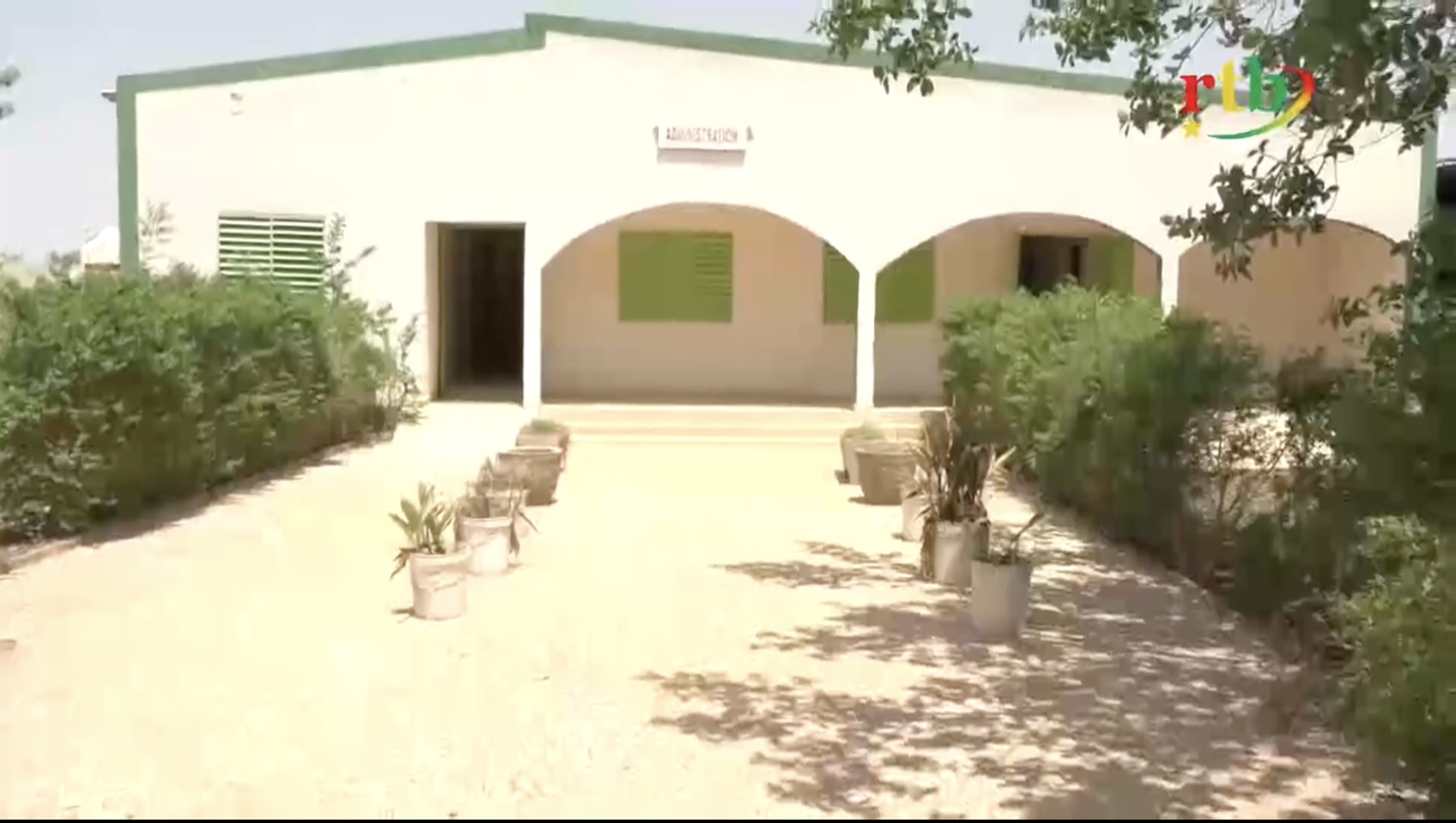 BNC avec squelette en salon